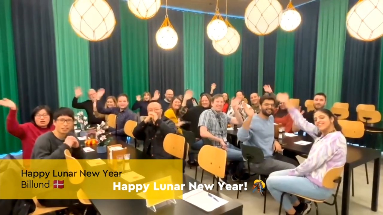 Happy Lunar New Year video thumbnail